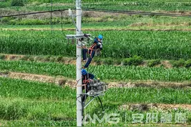 国网安阳供电公司：“满格”电力确保平稳迎峰度夏图片