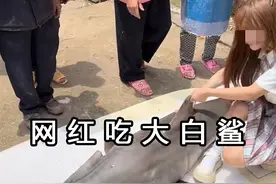确认网红吃大白鲨！为何大白鲨不能养殖？最长仅192天图片