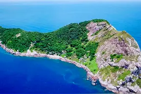 人间炼狱！巴西蛇岛每平方米5条蛇，一家五口上岛守灯塔惨遭灭门图片