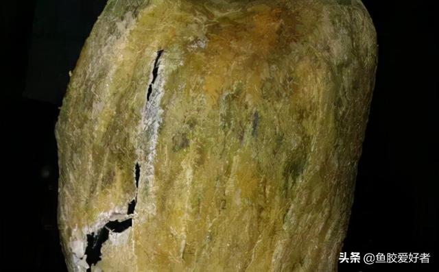越南买花胶会有假吗 2026年越南花胶最不值钱的原因