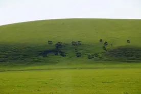 健康小知识图片