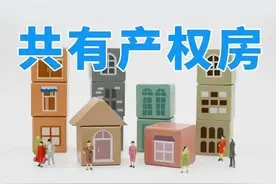 我，20年，贪便宜，花213万青岛买共有产权房，如今肠子都悔青了图片