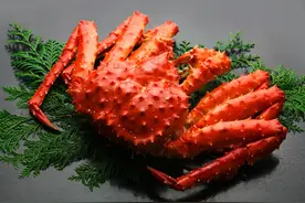 吃尽北海道的美味螃蟹！螃蟹的种类及食用方法图片