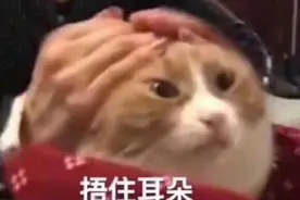 沙雕而不烂街的文案图片