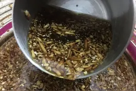 自制钓鱼药酒的几大误区，这是别人不会和你说的知识图片