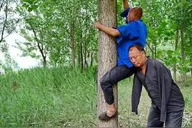 一个无臂、一个失明，2014年曾感动河北的种树兄弟，后来怎样了？图片