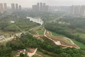 关于房价的走势——以湛江为例图片