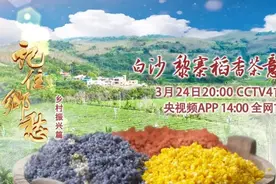 来海南白沙，尝尝黎家人的稻米，品品中国最早的春茶图片