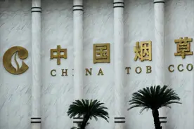 啥是“直系三代血亲”？啥是“旁系三代血亲”？应聘时要了解清楚图片