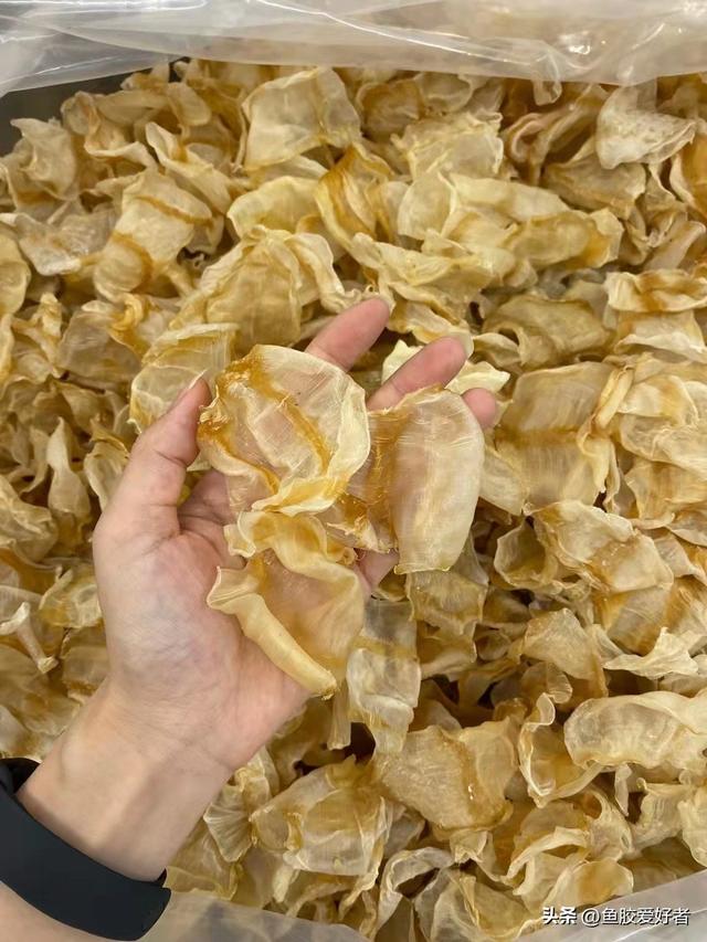 黄花筒和北海胶哪个好 2026年北海胶和黄花胶哪个功效好