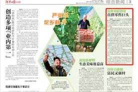 商城县：金寨有机蔬菜 直供零售巨头图片