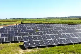 你一定不知道报废光伏板还可以这样用图片