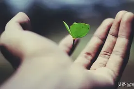 对于你的挨打，我只能说“活该”图片
