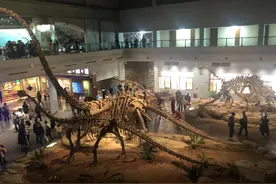世界第三大恐龙博物馆遗址在中国自贡图片