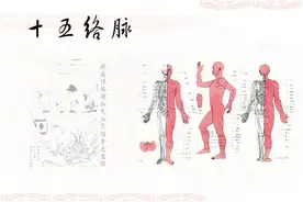 和于大夫从零学中医——针灸篇（第十八篇：十五络脉）图片