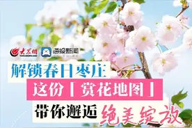 四季流转 多彩枣庄 | 解锁春日枣庄，这份「赏花地图」带你邂逅绝美绽放！图片