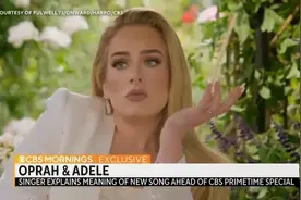 Adele流泪取消演唱会引粉丝愤怒，媒体深挖黑料，网友们冷嘲热讽图片