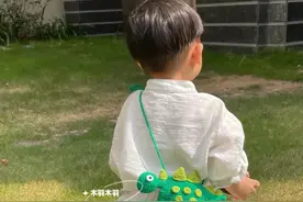 钩针图解：恐龙包包图片