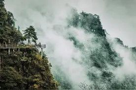 读《素书》真正的贤人君子都懂得潜伏之道，伺机而动图片