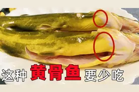 才知道，吃黄骨鱼还有这么多讲究，很多人一直不懂，快瞧瞧图片
