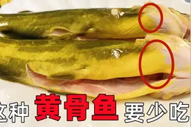 才知道，吃黄骨鱼还有这么多讲究，很多人一直不懂，快瞧瞧图片
