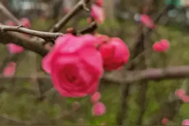 努力成为更好的自己图片