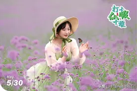 梦幻紫！十堰这片花海正在盛开图片
