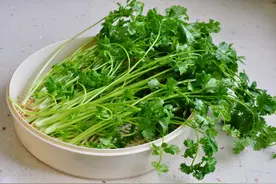 3妙招保存香菜，随取随用，省事还翠绿味鲜图片