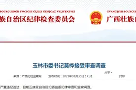 玉林市委书记莫桦接受审查调查图片