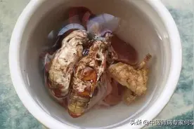 金蝉花可以治疗肾病吗？用法有哪些？图片