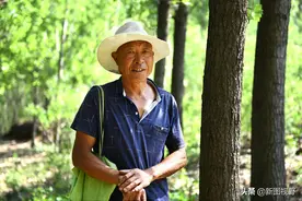 66岁农村大爷，上午喝茶下午放羊，每天睡到自然醒，实现人生理想图片