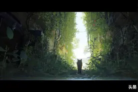 冒险解谜游戏《stray》：没有什么能留住一只猫，赛博朋克也不行图片