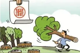 事发抚州：挖山毁林想致富，触犯法律满盘输图片