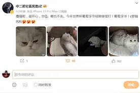 小鹿回应转会哪都不去，阿伟疑似复出，4AM老一代心散了图片