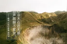 心非木石岂无感，吞声踟蹰不敢言图片
