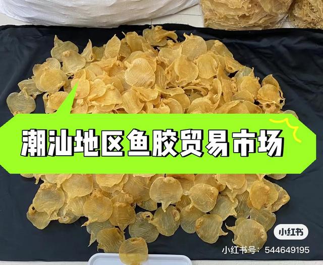 鱼胶哪里批发 2026年鱼胶哪里批发最好