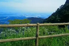 公交车上的故事图片