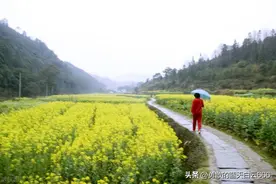雨中的回忆图片