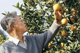 随笔～褚时健传图片