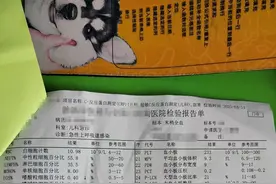 妹妹接种麻腮风疫苗的后续，没能逃脱的“第八天发烧定律”图片