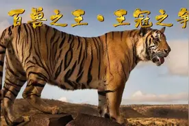 在陆地生态系统中，谁才是真正的“万兽之王”？为什么？图片
