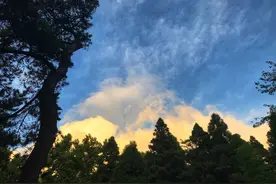 让你瞬间快乐的 20 件小事图片