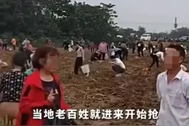 四川抢土豆事件成了罗生门，三种说法各不同，人性的弱点恐是罪魁图片