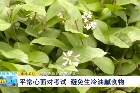 考前应该注意哪些事？平常心面对考试 避免生冷油腻食物图片