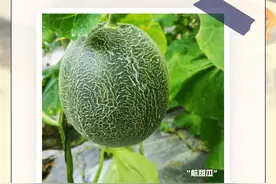 科普图解 | 上得了火星下得了厨房！摸得着的“天问一号”在这里图片