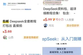 DeepSeek 付费教程火了？“割韭菜”套路曝光图片