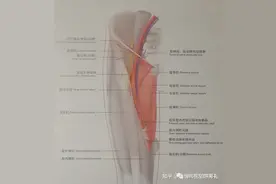 中心静脉穿刺置管术图片