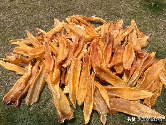 宝宝咳嗽反复吃蜘蛛胶好吗 2026年宝宝咳嗽反复吃蜘蛛胶好吗