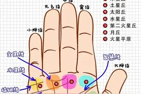 手掌中的秘密，对照看看吧！仅供娱乐！图片