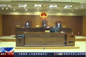 CCTV13《法治在线》：热播剧变“免费”，直播平台该担责吗？图片